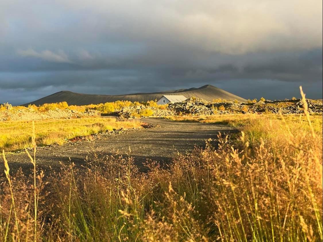 Slow Travel Myvatn - Þufa - Private Homestay Exteriör bild